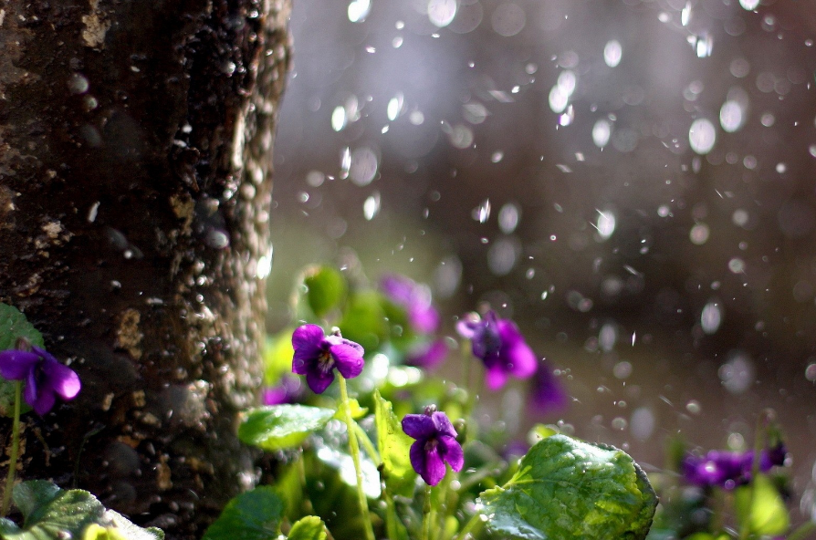 当暴雨遇见古诗词，十五首有关暴雨的诗词，欣赏暴雨的气势与景象​