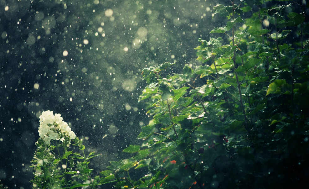 当暴雨遇见古诗词,十五首有关暴雨的诗词,欣赏暴雨的气势与景象