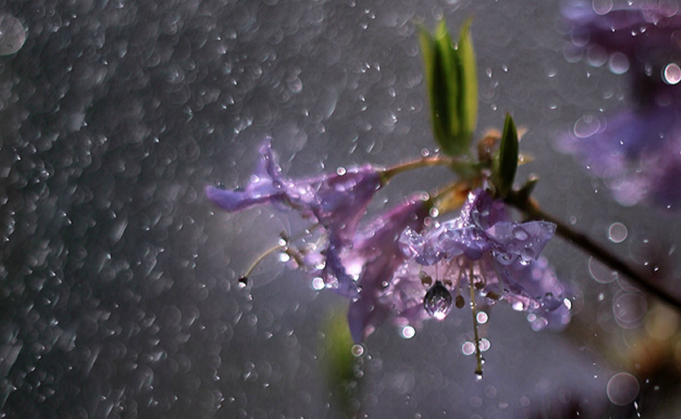 当暴雨遇见古诗词,十五首有关暴雨的诗词,欣赏暴雨的气势与景象