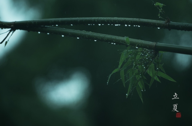 立夏早安心语问候语 适合立夏发朋友圈的祝福语说说