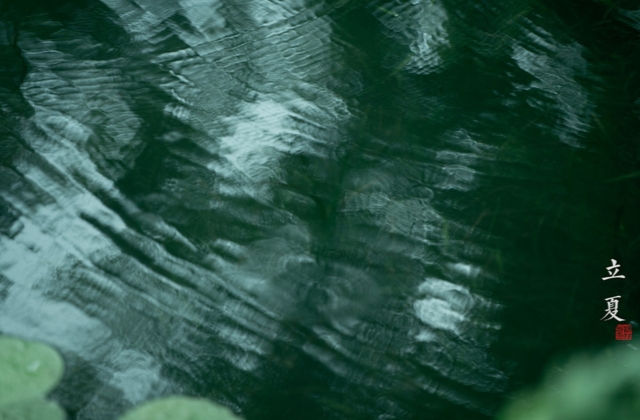 立夏早安心语问候语 适合立夏发朋友圈的祝福语说说