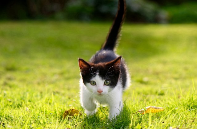 心灵鸡汤励志语录 适合发朋友圈小短句