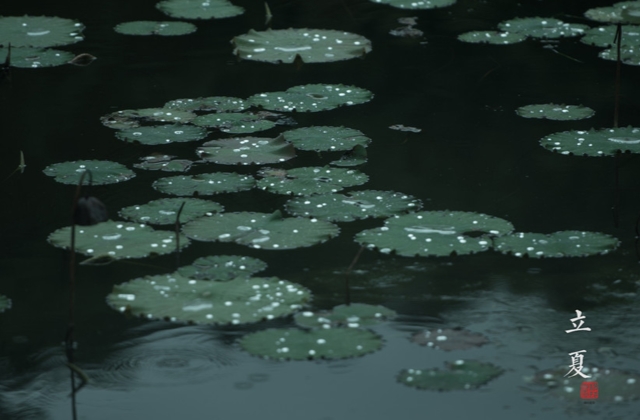 立夏早安心语问候语 适合立夏发朋友圈的祝福语说说