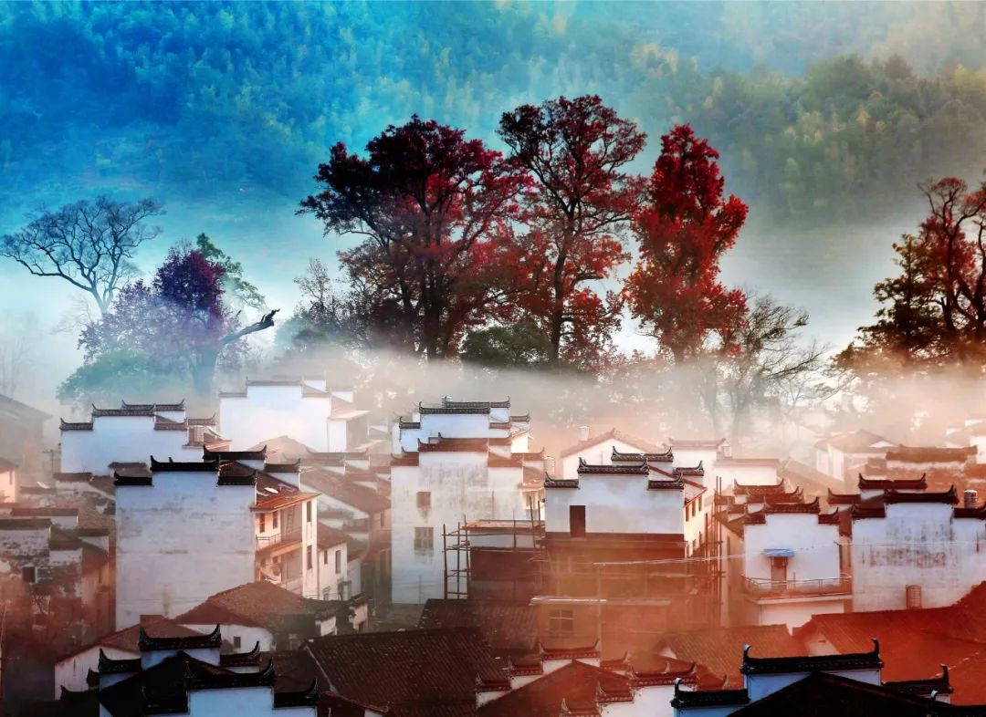 哪有游子不思乡?20句思乡心切的诗词,读完热泪盈眶