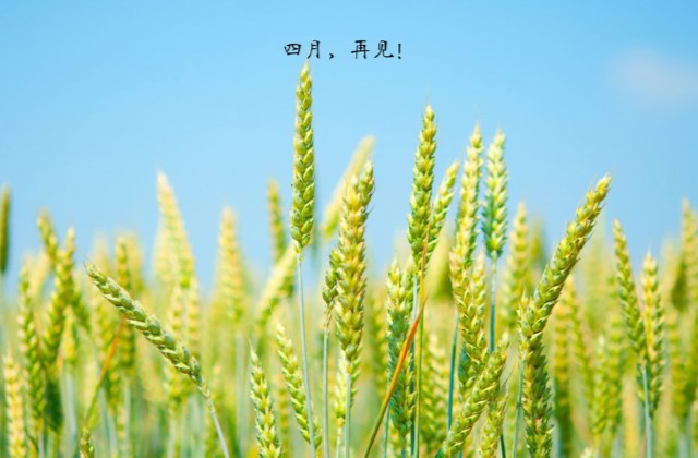告别四月迎接五月的句子 四月再见五月你好说说