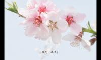 告别四月迎接五月的句子(四月再见五月你好说说)