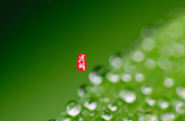 清明祭英烈寄语大全 清明节悼念抗疫英雄的句子