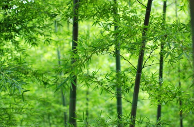 抖音调皮搞笑的句子 可爱到爆炸的句子