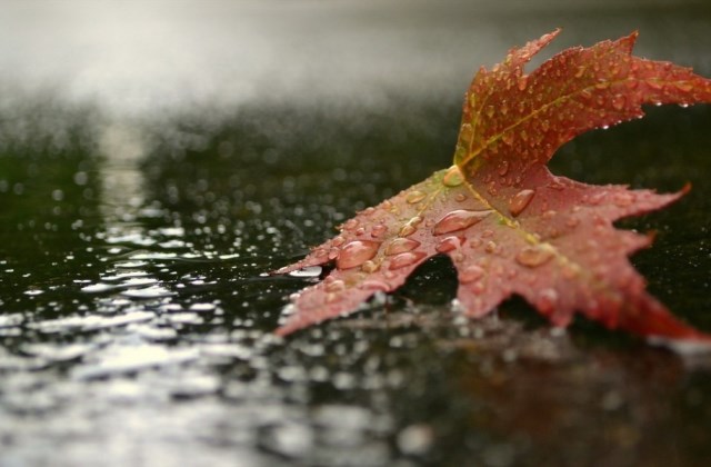 一句话表达雨夜的心情说说 形容深夜下雨的朋友圈