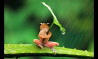 适合下雨天发的朋友圈(雨天心情不好发朋友圈的句子)