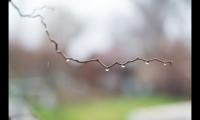 适合雨夜发的朋友圈短句(讨厌下雨天烦躁的句子)