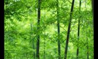 抖音调皮搞笑的句子(可爱到爆炸的句子)
