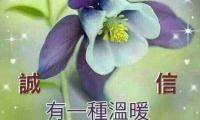 关于早上好心情语录大全