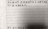 关于导盲狼读后感大全