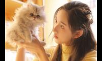 心灵鸡汤语句