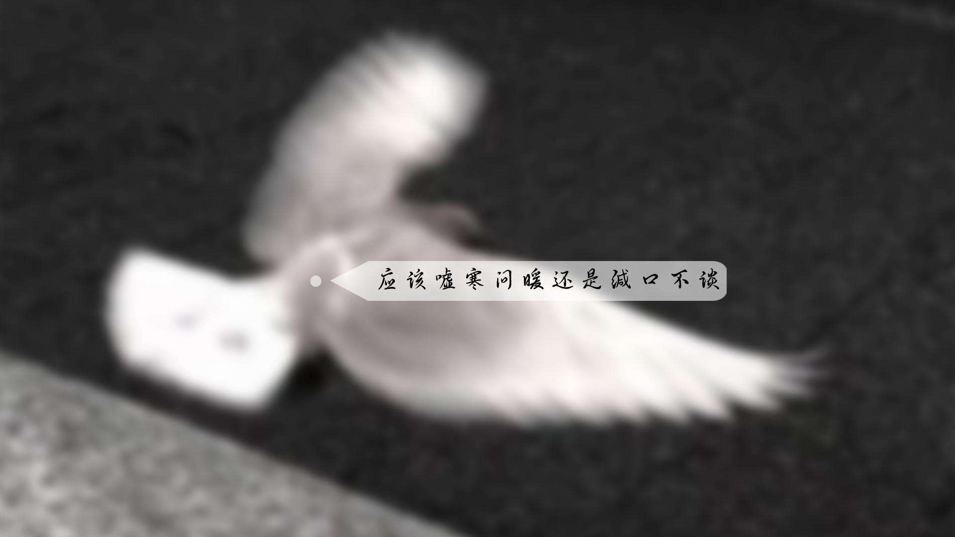 最心酸委屈伤感的话句子,最心酸委屈伤感的话句子图片
