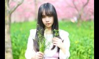早上好语录经典语录