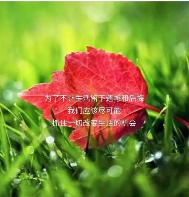 最经典人生感悟语句图片,人生感悟的句子图片经典语录