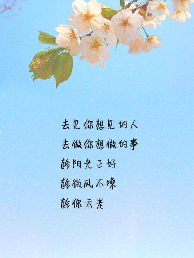 最经典人生感悟语句图片,人生感悟的句子图片经典语录