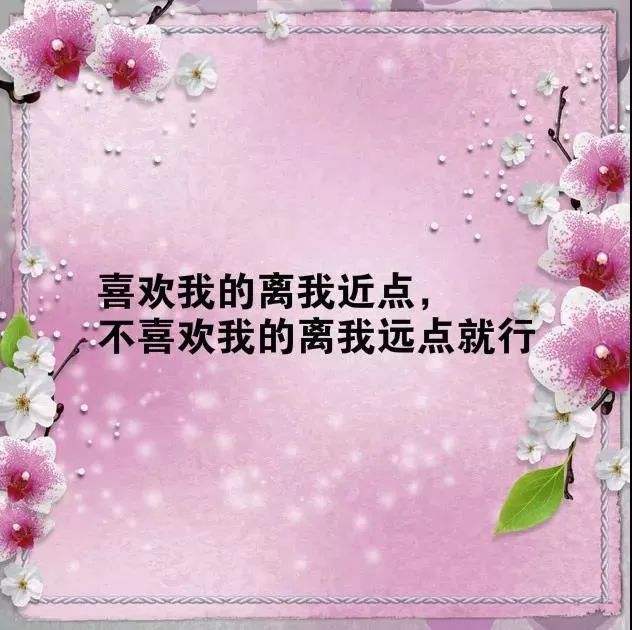 最经典人生感悟语句视频的简单介绍