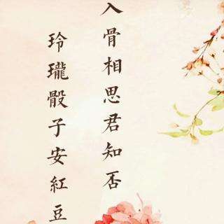 相思的优美句子大全,关于相思的唯美句子大全