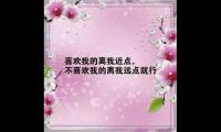关于(最经典人生感悟语句视频的简单介绍)大全