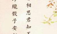 关于相思的唯美句子大全(xxx句)大全