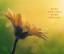人生感悟句子图片带字,人生感悟的句子带图片,人生感悟文字带图片