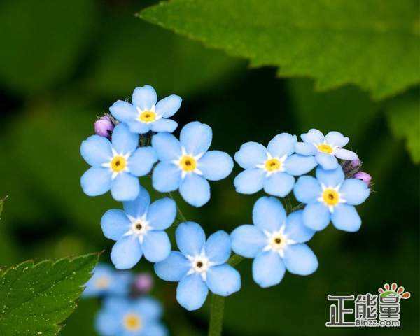人生感悟句子句句穿心伤感,经典语录伤感人生感悟 句句穿透人心