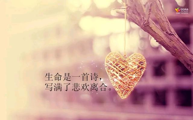 人生感悟的句子经典语句,人生感悟的句子经典语句人生如梦