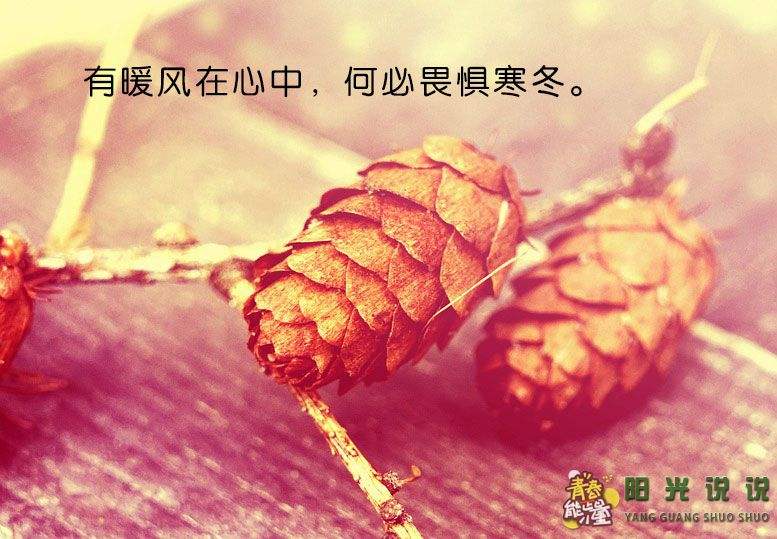 很现实的人生感悟说说,很现实的人生感悟说说 句句经典精辟
