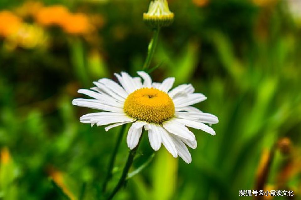 最透彻的人生感悟短句,最透彻的人生感悟短句图片