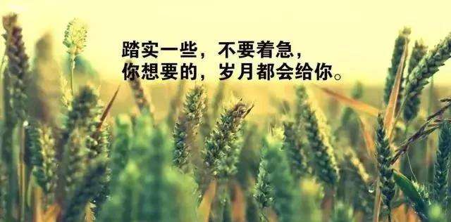 人生感悟句子很经典,人生感悟句子很经典图片
