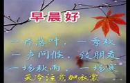 关于(人生感悟句子图片带字,人生感悟的句子带图片)大全