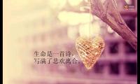 关于(人生感悟的句子经典语句,人生感悟的句子经典语句人生如梦)大全