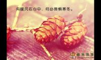 关于很现实的人生感悟说说,很现实的人生感悟说说(句句经典精辟)大全