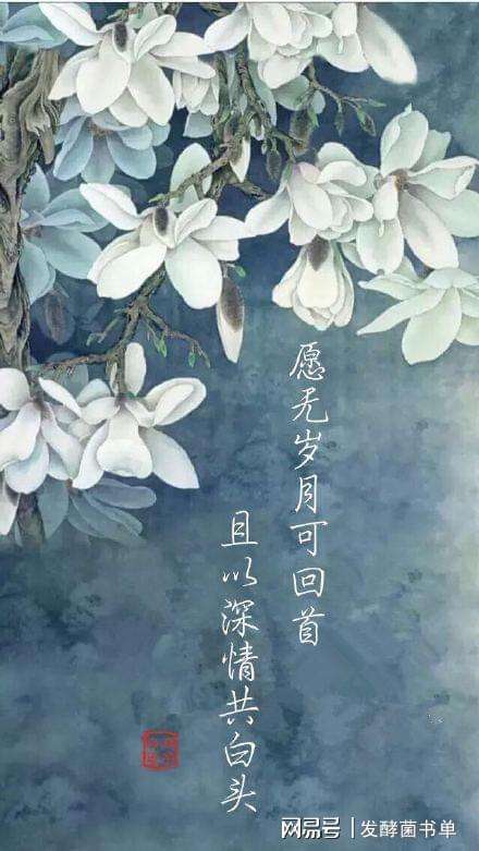 古风表白文案,古风表白文案简短