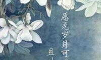 关于古风表白文案简短大全