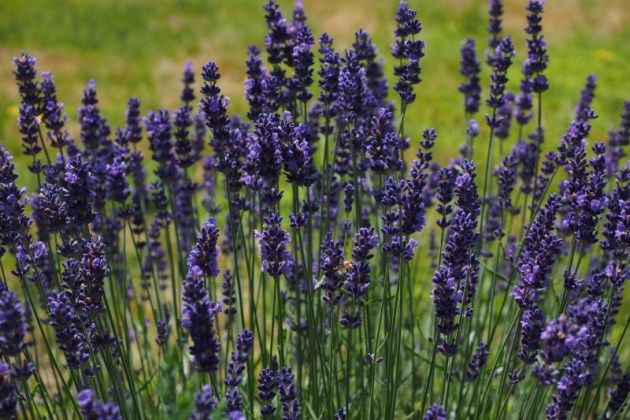 早安语录：每日清晨正能量一句话