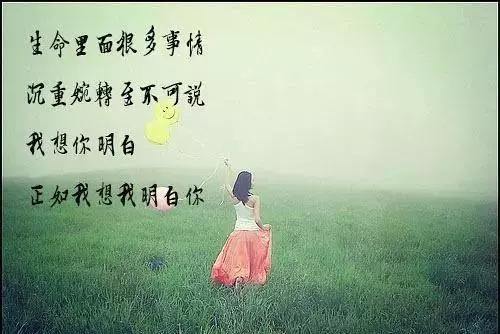 太感人的句子,经典感人的句子经典的句子