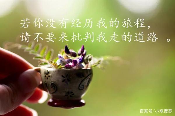哲理的句子成熟,有关成熟的哲理句子