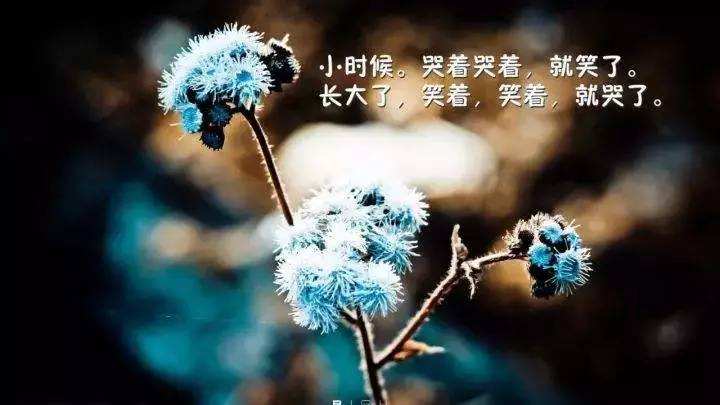 人生最感动的句子经典语录,人生最感动的句子经典语录朋友圈