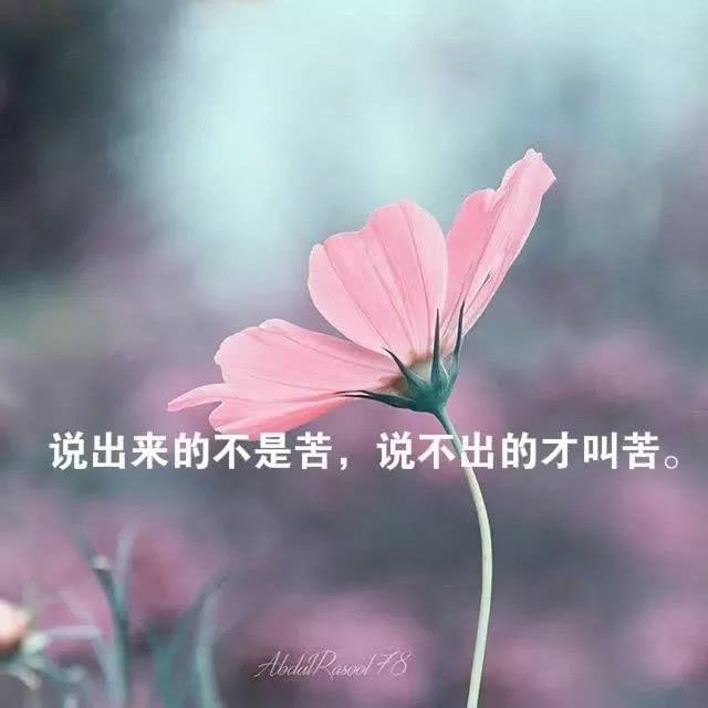 包含十分经典有哲理的句子大全的词条