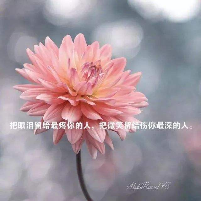 人生哲理的句子短句,人生哲理句子大全唯美简短