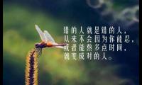 关于感悟人生句子说到心坎大全
