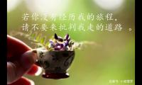 关于哲理的句子成熟,有关成熟的哲理句子大全