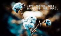 关于(人生最感动的句子经典语录,人生最感动的句子经典语录朋友圈)大全
