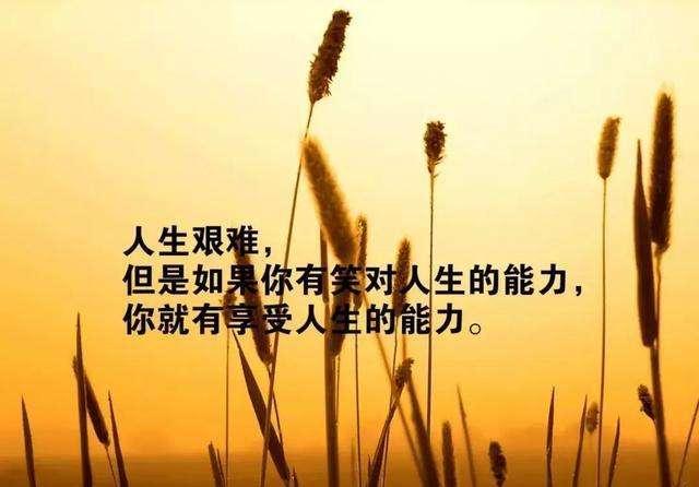关于人生哲理的句子,关于人生哲理的句子名言警句