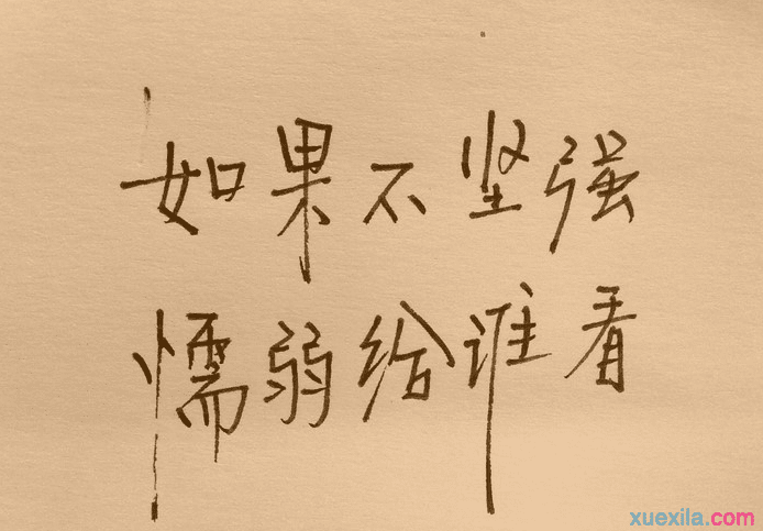 哲理的句子摘抄,有关哲理的句子摘抄