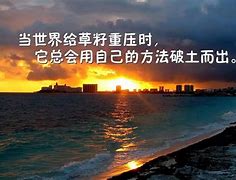 正能量人生哲理的句子,人生感悟正能量经典句子,句句精辟有哲理